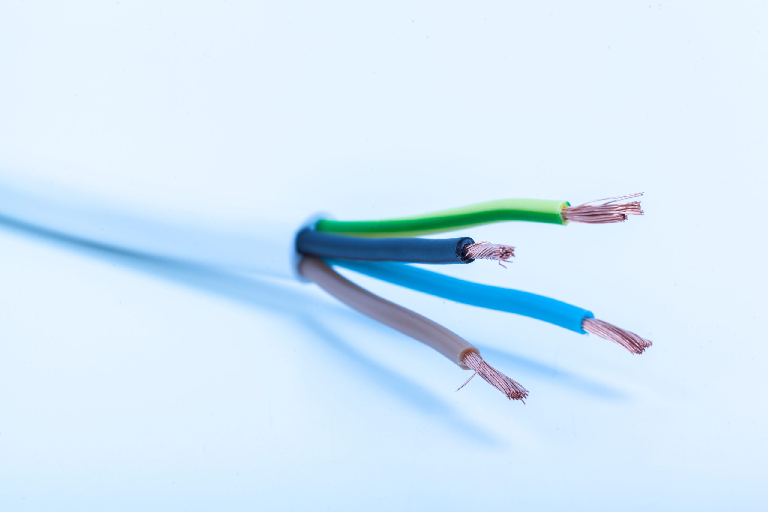 Electric screened cable with many wires isolated on white